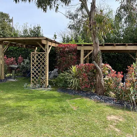 Sur Saint-Palais-sur-Mer